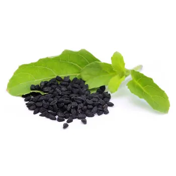 Herbal Dried Tulsi Leaves